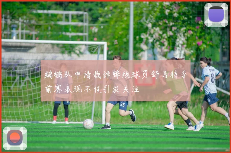 鹈鹕队申请裁掉锋线球员舒马特季前赛表现不佳引发关注