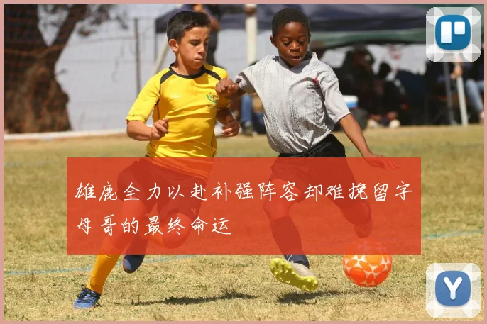 雄鹿全力以赴补强阵容却难挽留字母哥的最终命运