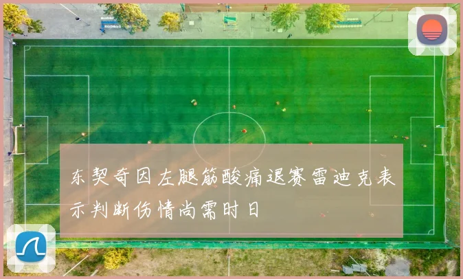 东契奇因左腿筋酸痛退赛雷迪克表示判断伤情尚需时日