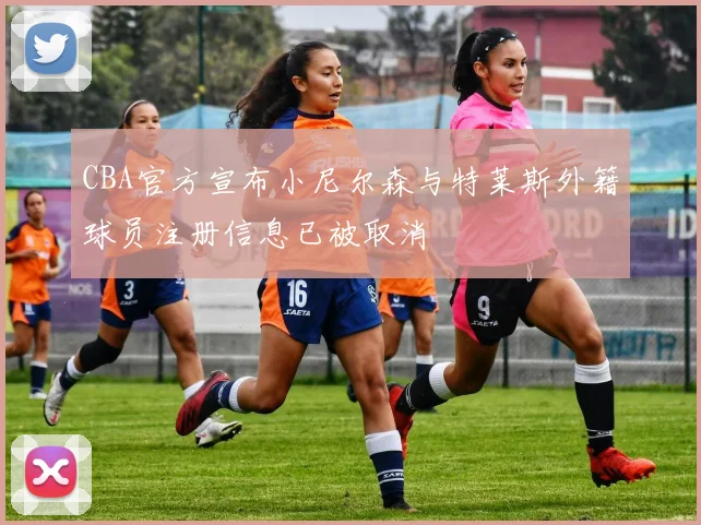 CBA官方宣布小尼尔森与特莱斯外籍球员注册信息已被取消