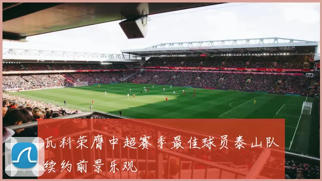 瓦科荣膺中超赛季最佳球员泰山队续约前景乐观
