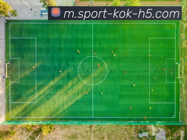 KOK体育平台生态图